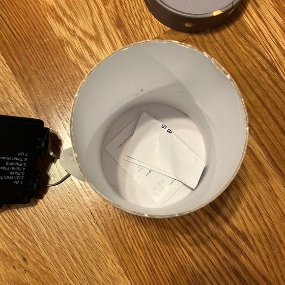 NWT Anthropologie Terrain Stargazer Snowberry Garland 15’ - Picture 10 of 16